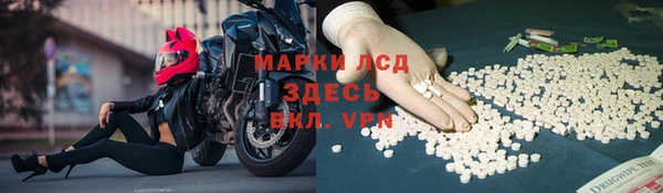 не бодяженный Бородино
