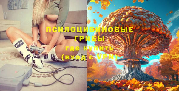 не бодяженный Бородино