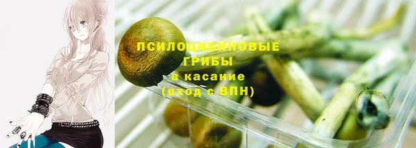 не бодяженный Бородино