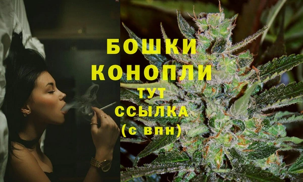 не бодяженный Бородино